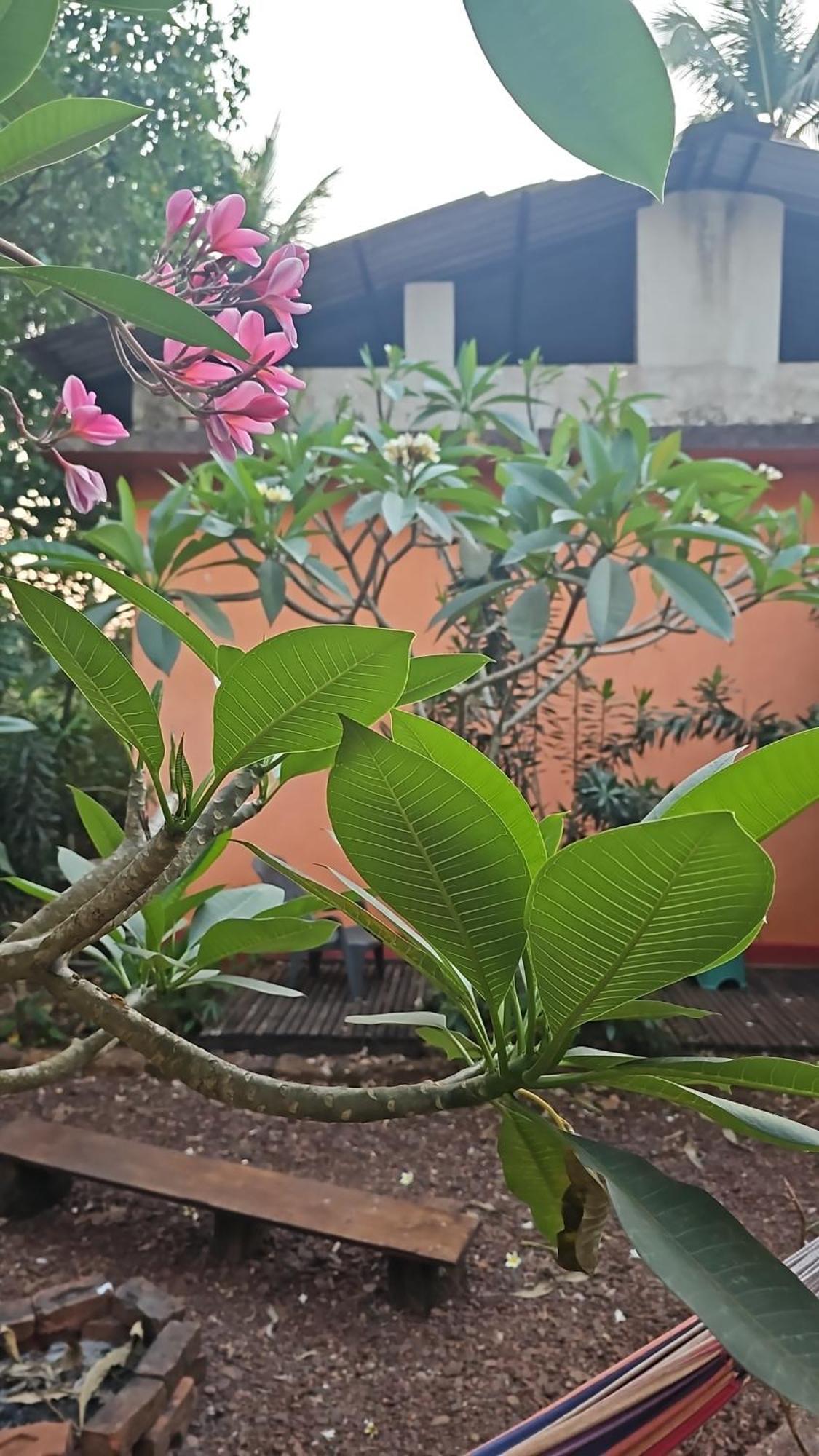 Laxmi Happy Home In Querim Goa Ngoại thất bức ảnh