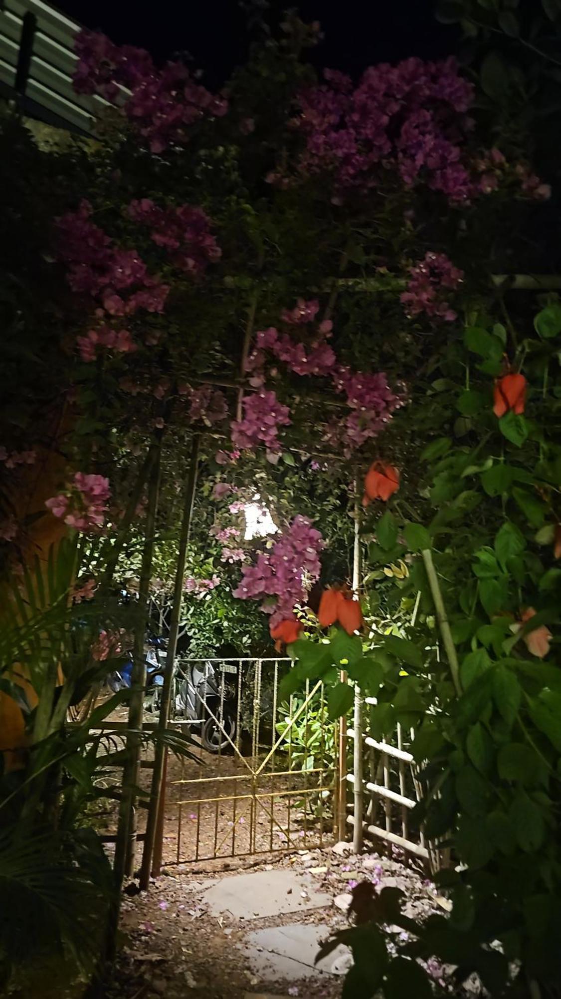 Laxmi Happy Home In Querim Goa Ngoại thất bức ảnh